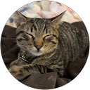Vivian Duong profile picture